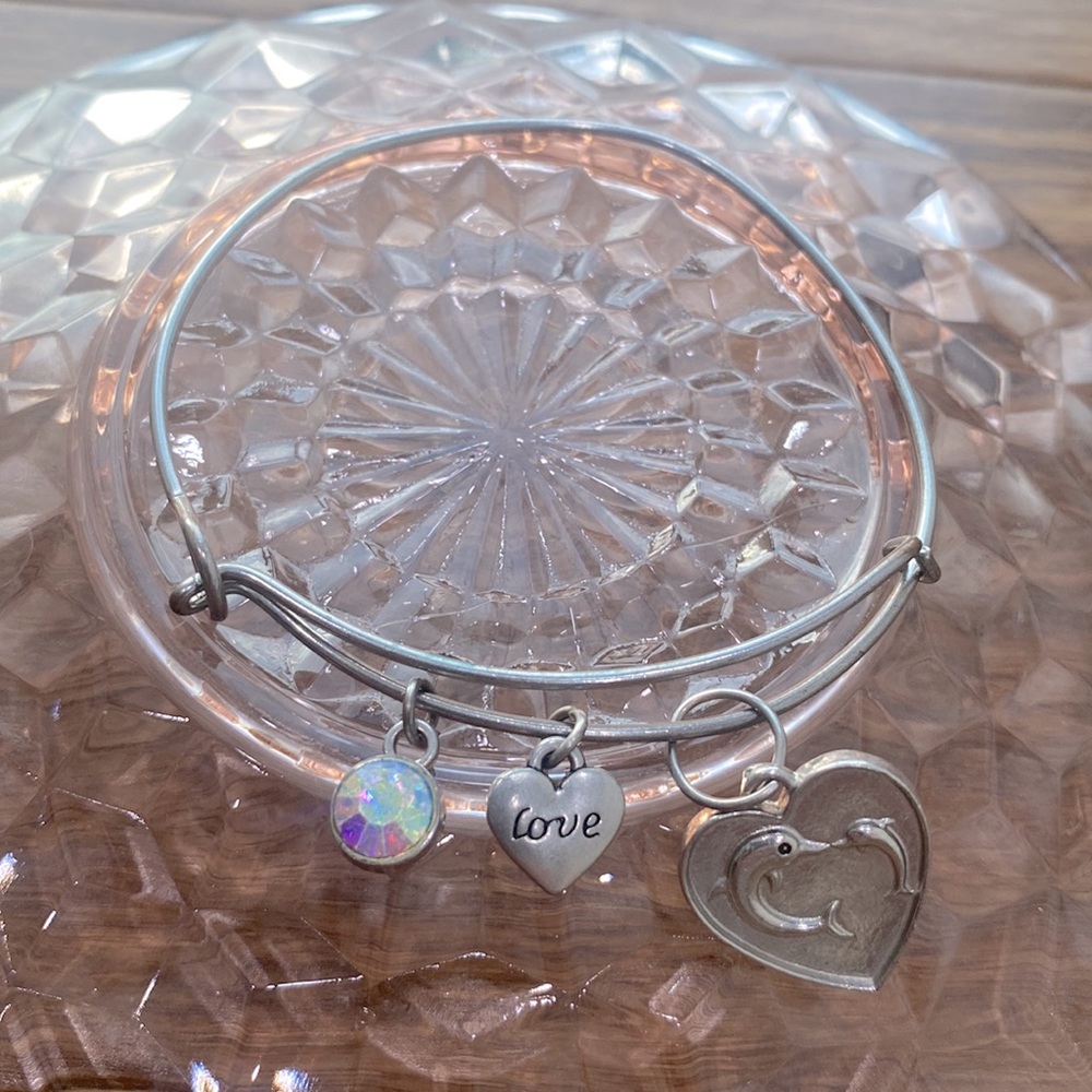 Clearwater Florida dolphin charm bracelet